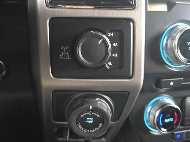 Photo of 2017 White Gold Ford F-150