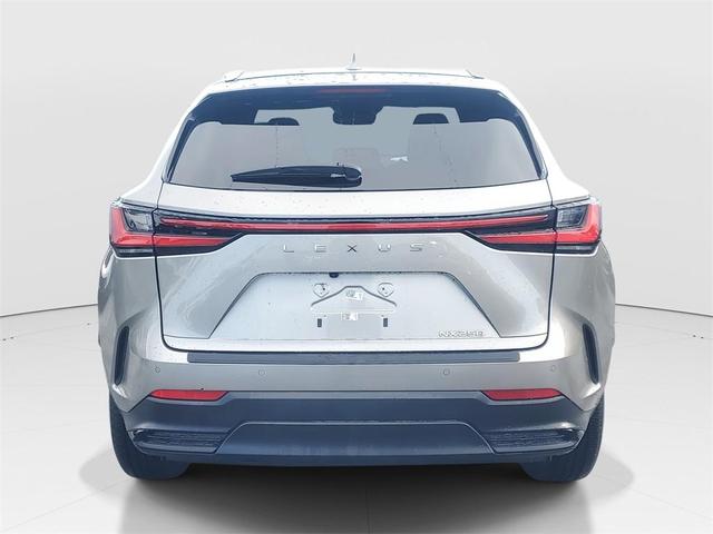 Photo of 2024 Silver Lexus NX 250