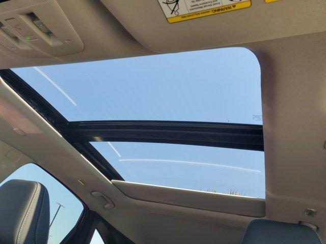 Photo of 2025 White / Black Nissan Murano