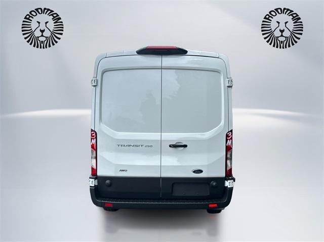 Photo of 2025 Oxford White Ford Transit-250