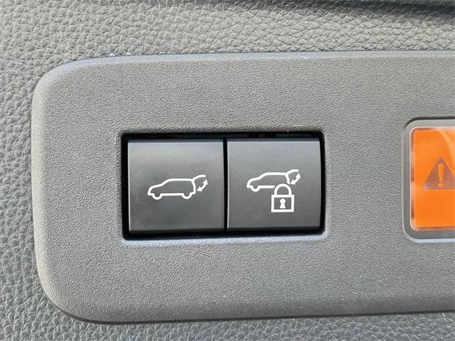 Photo of 2024 Meteor Shower Toyota Land Cruiser