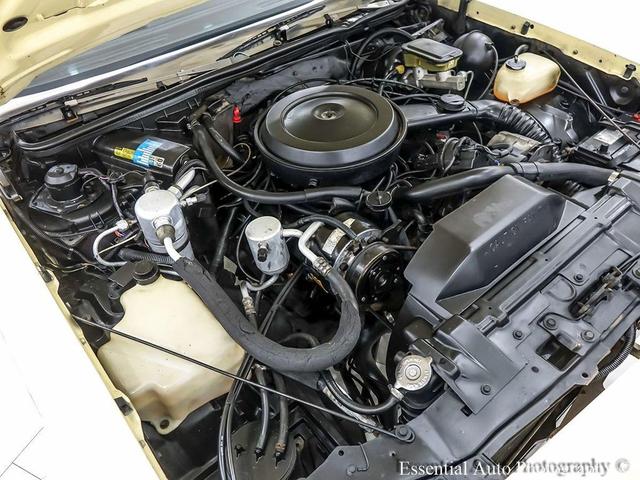 Photo of 1986 Yellow Oldsmobile Cutlass