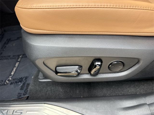 Photo of 2024 Nori Green Pearl Lexus NX 250