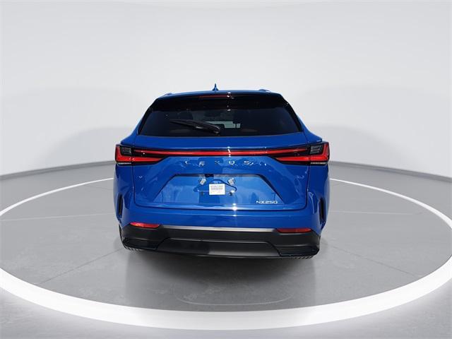 Photo of 2025 Grecian Water Lexus NX 250