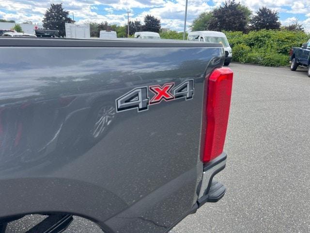 Photo of 2026 Carbonized Gray Metallic Ford F-250