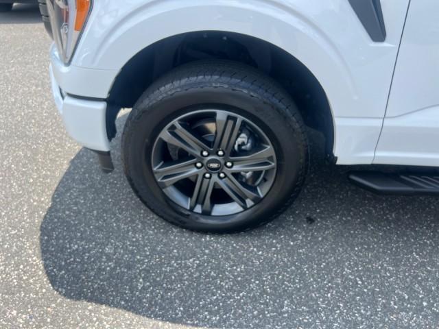 Photo of 2023 Oxford White Ford F-150
