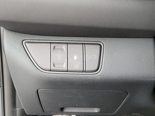 Photo of 2023 Blue Genesis G70