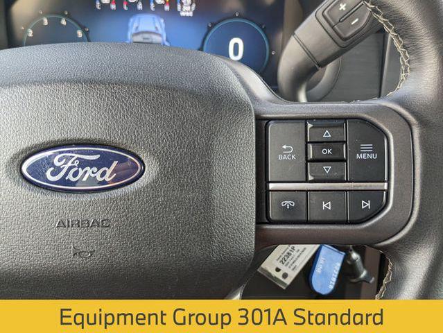 Photo of 2024 Gray Metallic Ford F-150