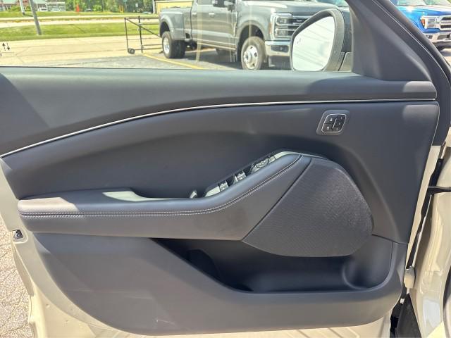 Photo of 2025 DESERT SAND Ford Mustang Mach-E