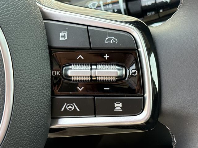 Photo of 2025 Panthera Metal Kia Sorento