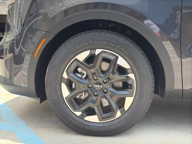 Photo of 2025 Panthera Metal Kia Sorento