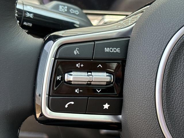 Photo of 2025 Panthera Metal Kia Sorento