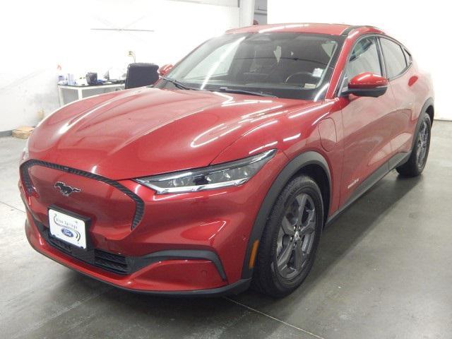 2021 Ford Mustang Mach-e