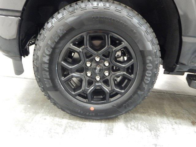 Photo of 2025 Agate Black Metallic Ford F-150