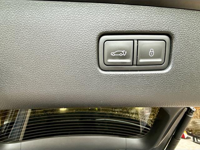Photo of 2025 Vik Black Genesis GV70