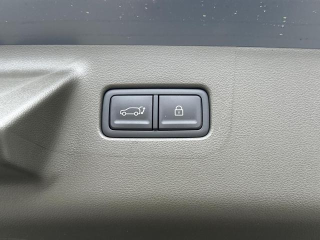 Photo of 2025 Gray Matte Hyundai SANTA FE HEV