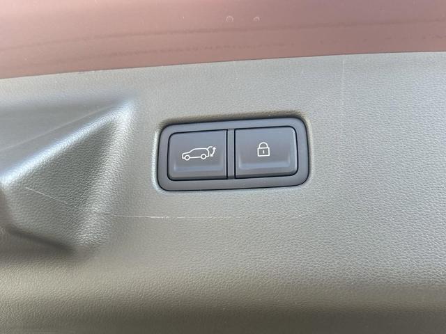 Photo of 2024 Brass Hyundai SANTA FE
