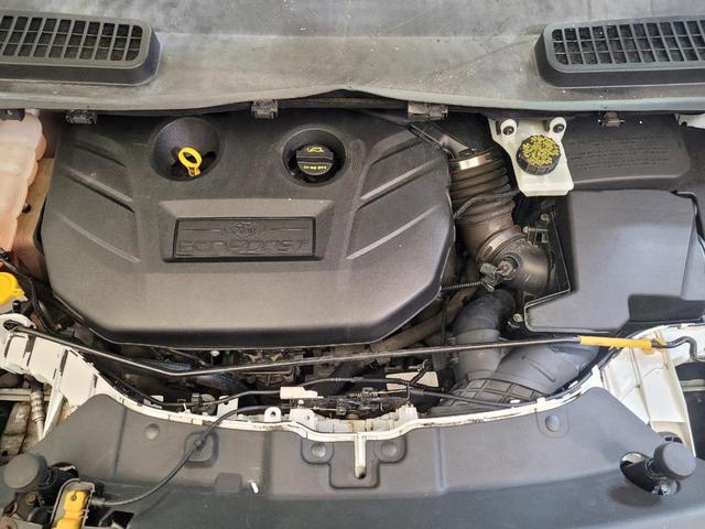 Photo of 2014 White Ford Escape