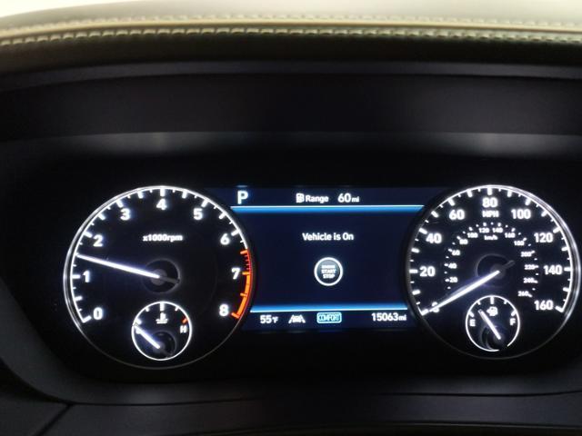 Photo of 2020 Vik Black Genesis G90