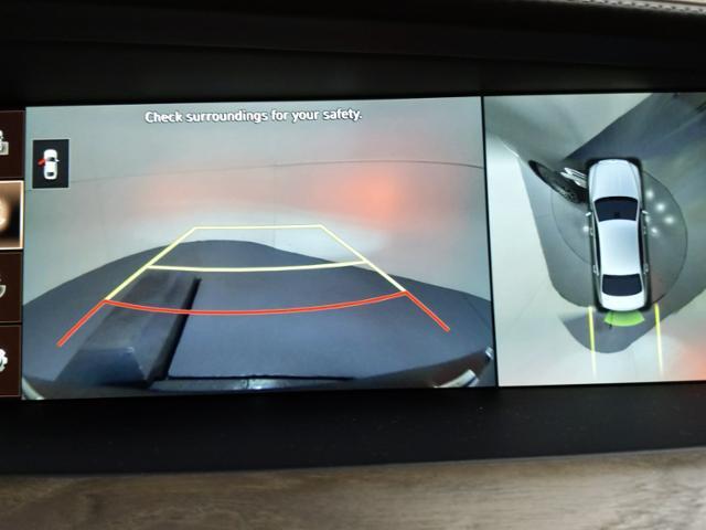 Photo of 2020 Vik Black Genesis G90