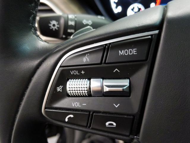 Photo of 2020 Vik Black Genesis G90