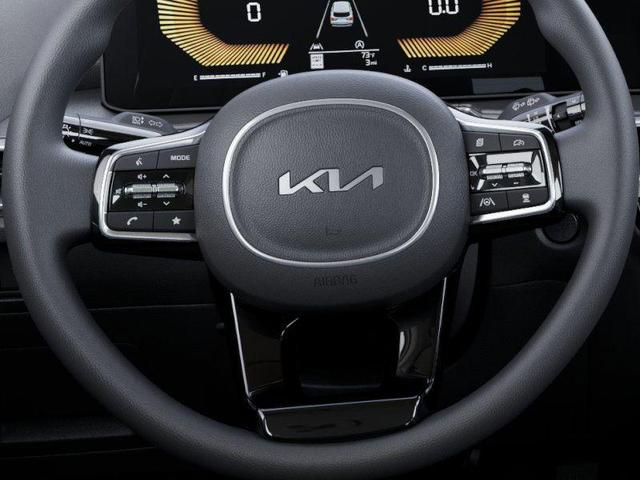 Photo of 2025 Ebony Black Kia Sorento