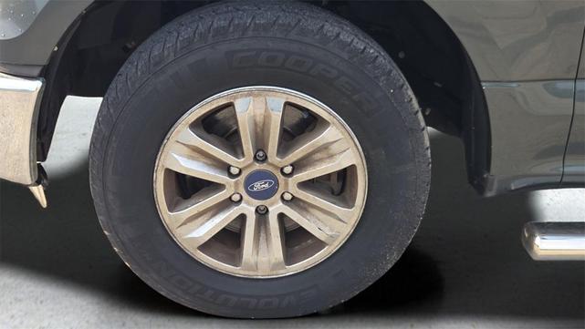 Photo of 2015 Guard Metallic Ford F-150