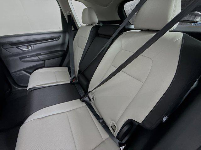 Photo of 2026 Platinum White Pearl Honda CR-V