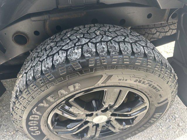 Photo of 2019 Oxford White Ford Ranger