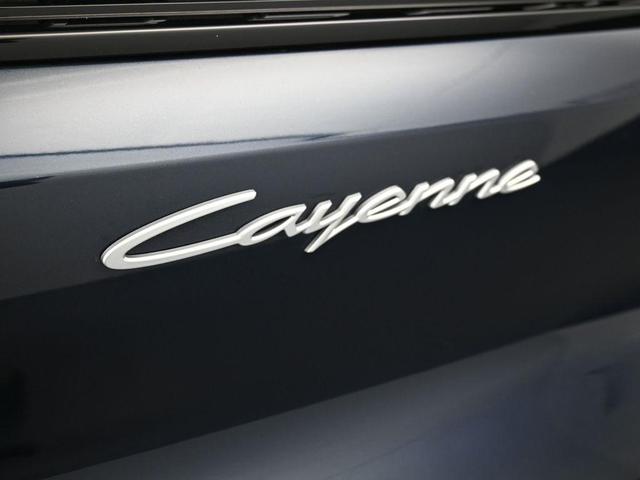 Photo of 2024 Blue Metallic Porsche Cayenne