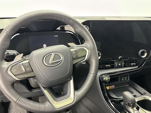 Photo of 2024 Caviar Lexus NX 350h