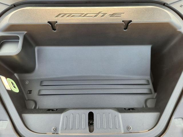 Photo of 2025 Eruption Green Metallic Ford Mustang Mach-E