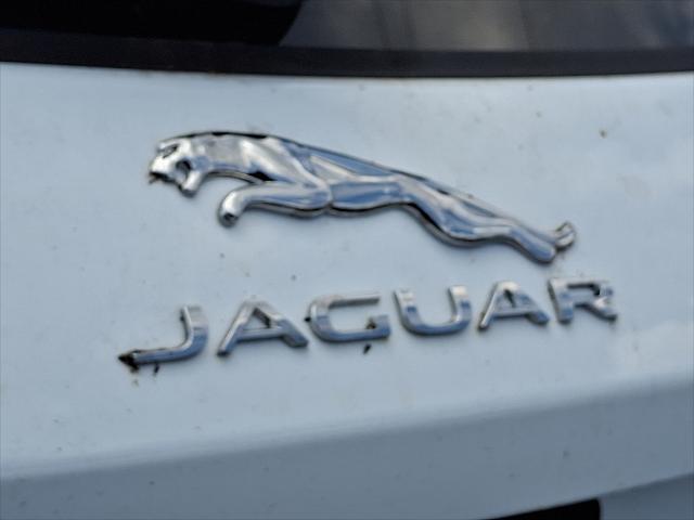 Photo of 2026 Fuji White Jaguar F-PACE