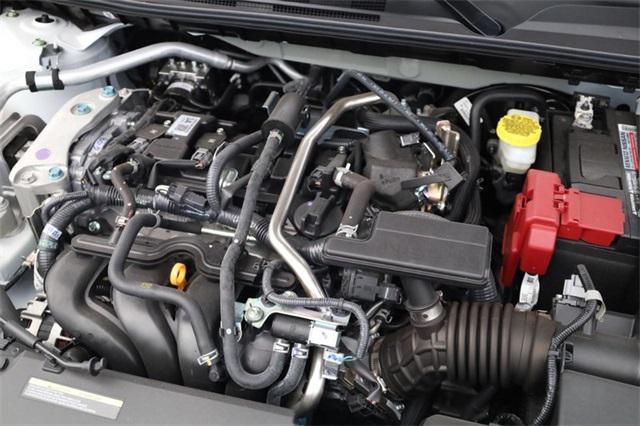 Photo of 2025 Fresh Powder Nissan Sentra