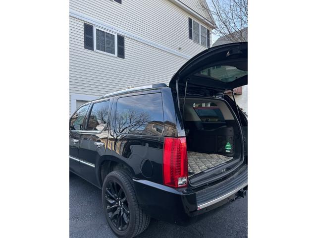 Photo of 2014 Black Cadillac Escalade