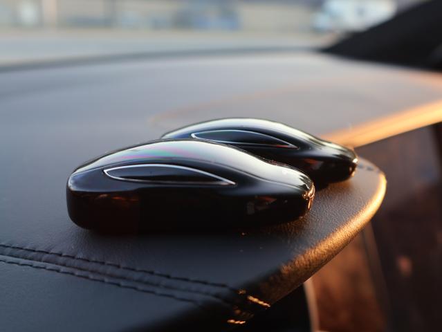 Photo of 2021 Black Tesla Model X
