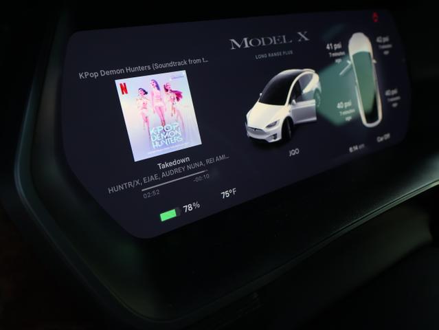 Photo of 2021 Black Tesla Model X