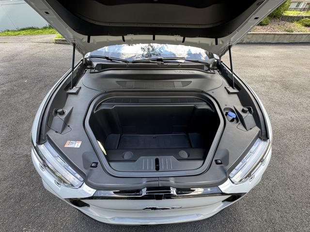 Photo of 2021 White Ford Mustang Mach-E