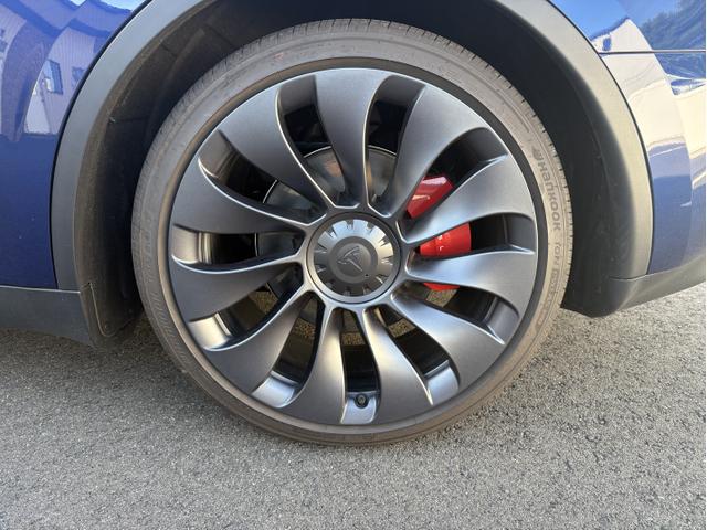 Photo of 2025 Blue Tesla Model Y
