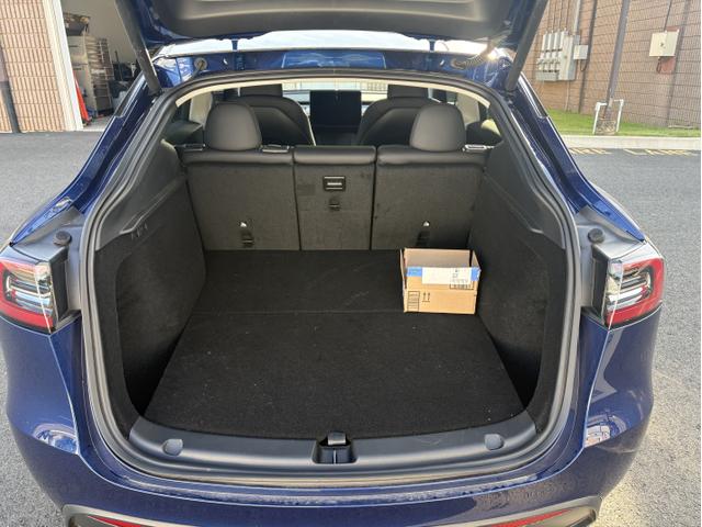 Photo of 2025 Blue Tesla Model Y