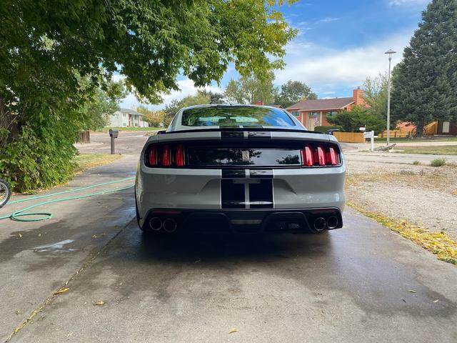 Photo of 2016 Gray Ford Shelby GT350