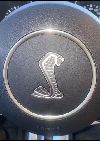 Photo of 2016 Gray Ford Shelby GT350