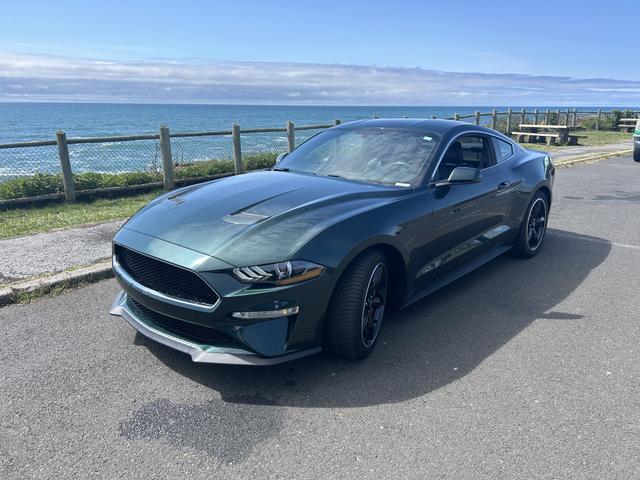 Photo of 2019 Green Ford Mustang