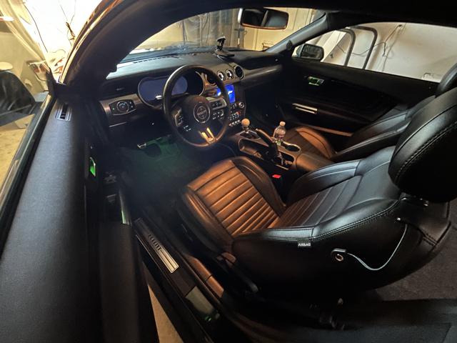 Photo of 2019 Green Ford Mustang