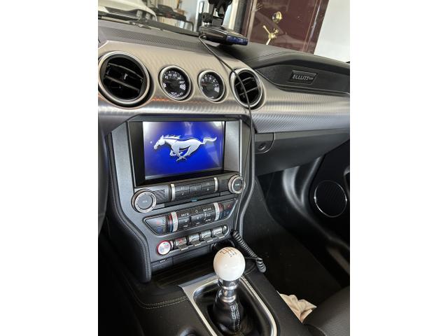 Photo of 2019 Green Ford Mustang