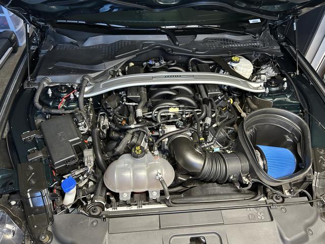 Photo of 2019 Green Ford Mustang