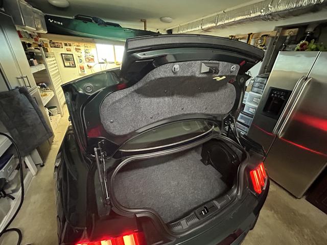 Photo of 2019 Green Ford Mustang