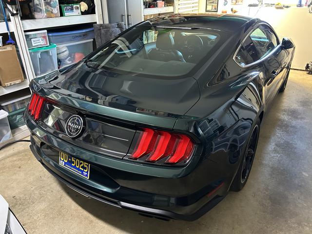 Photo of 2019 Green Ford Mustang