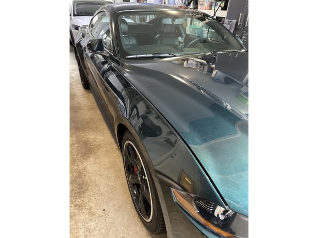 Photo of 2019 Green Ford Mustang