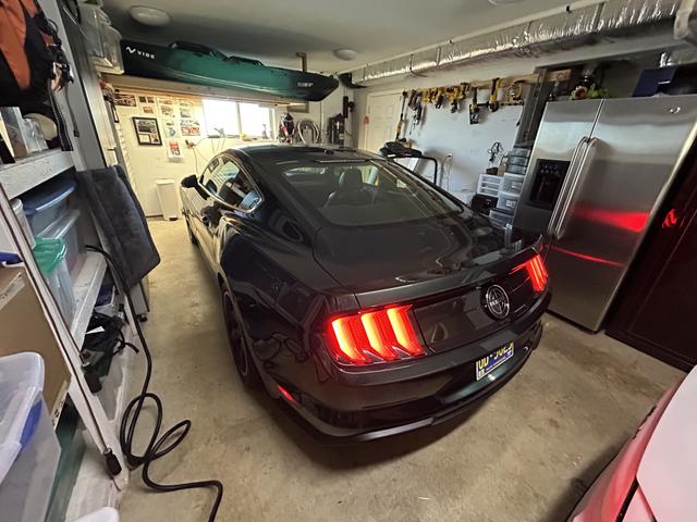 Photo of 2019 Green Ford Mustang
